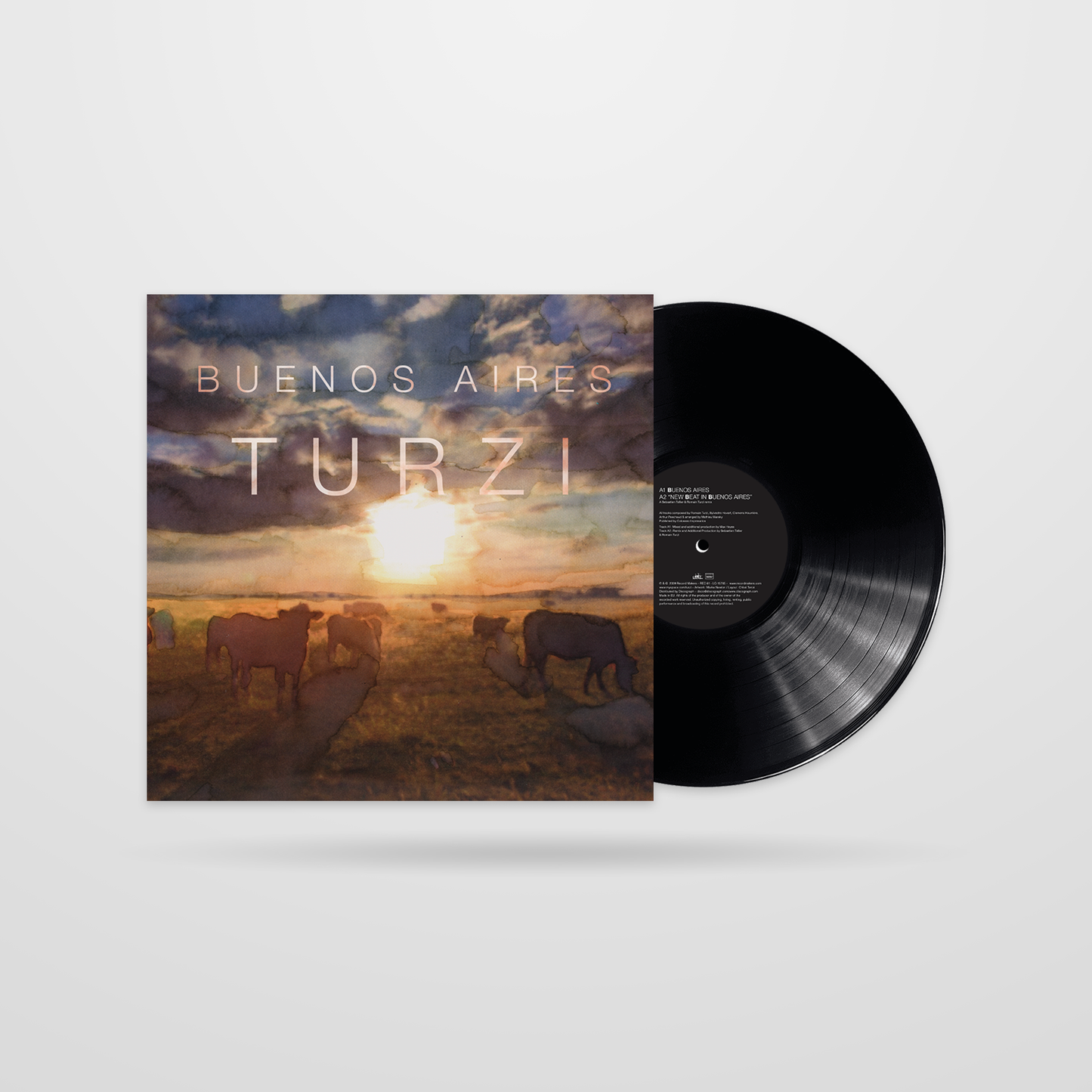 Turzi - Buenos Aires / Bombay [vinyl]