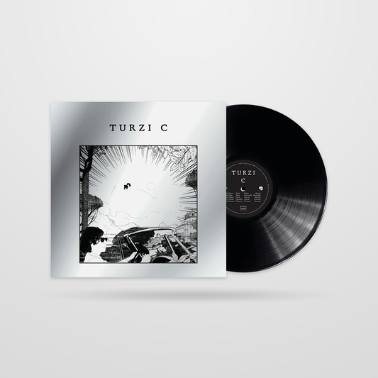 Turzi - C [vinyl]